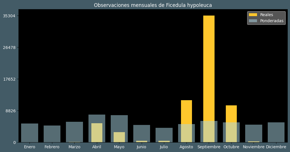 Observations by Month