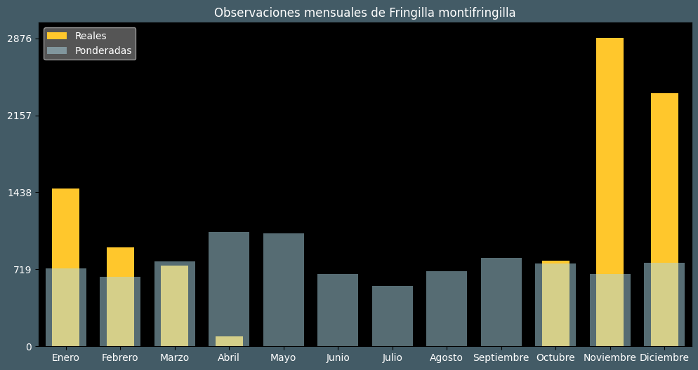 Observations by Month