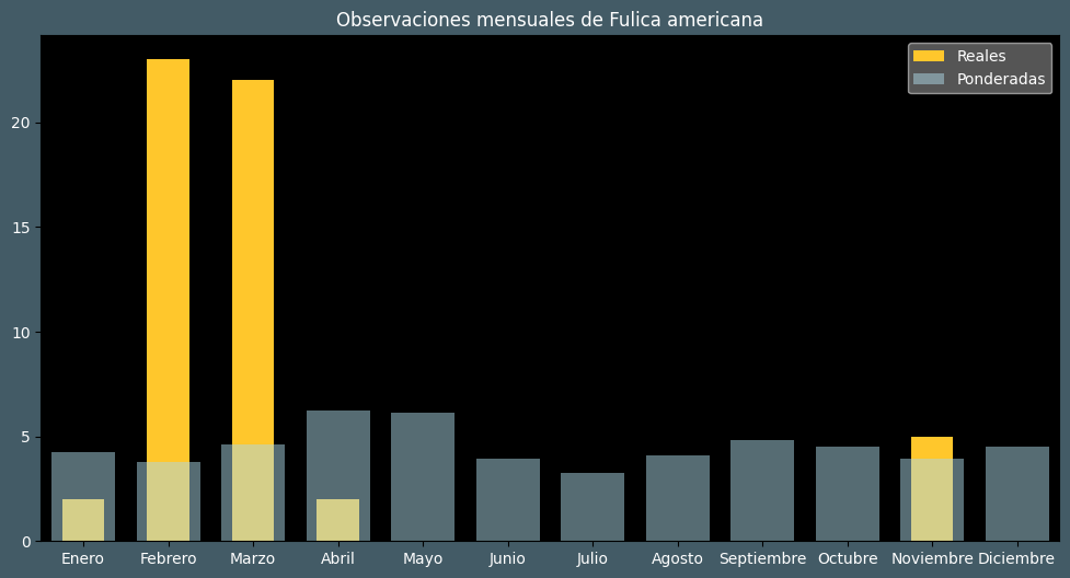 Observations by Month