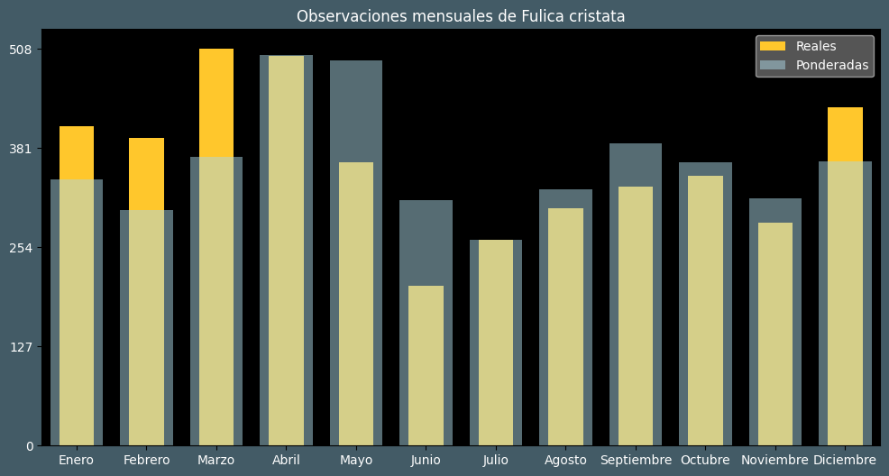 Observations by Month