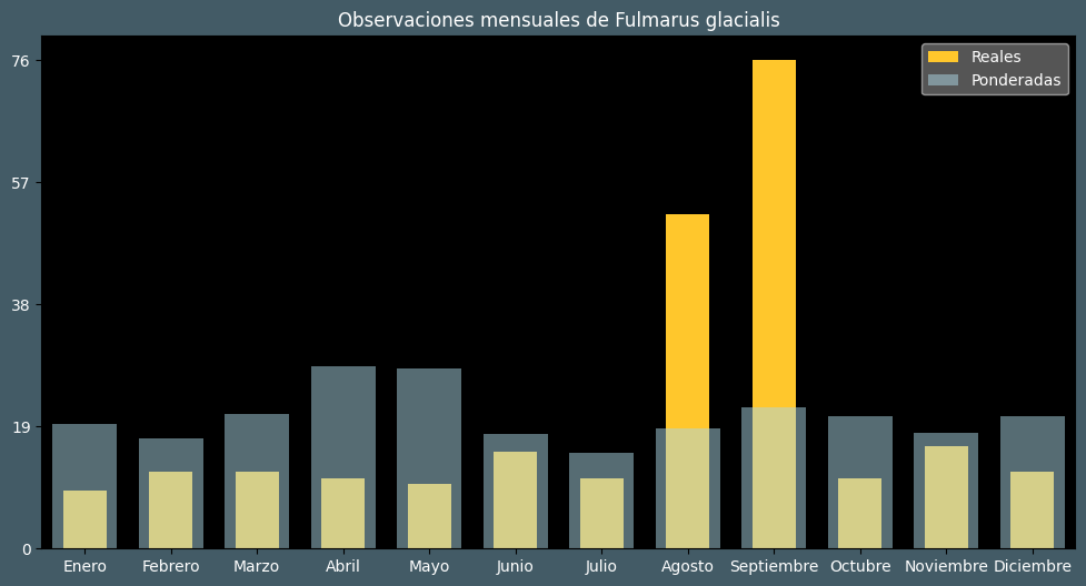 Observations by Month