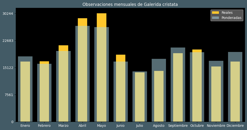 Observations by Month