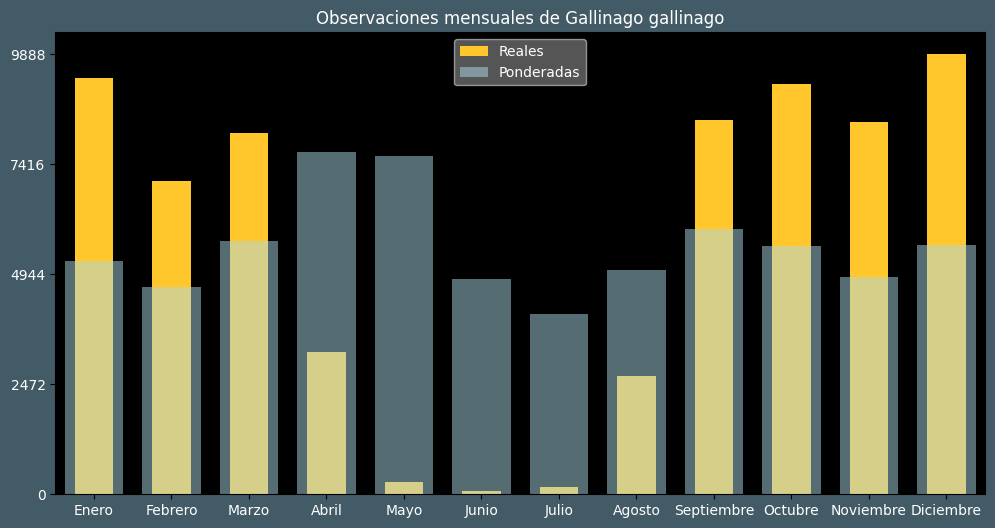 Observations by Month