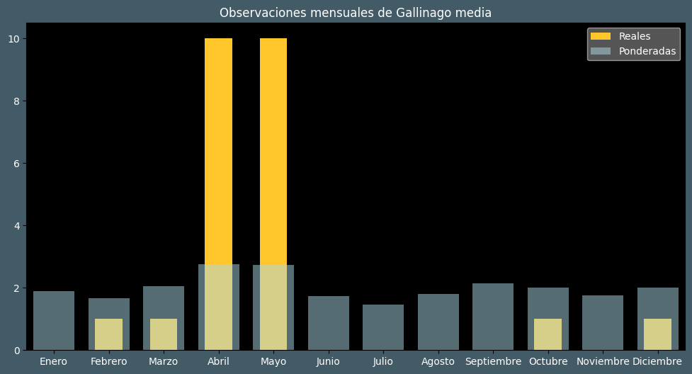 Observations by Month