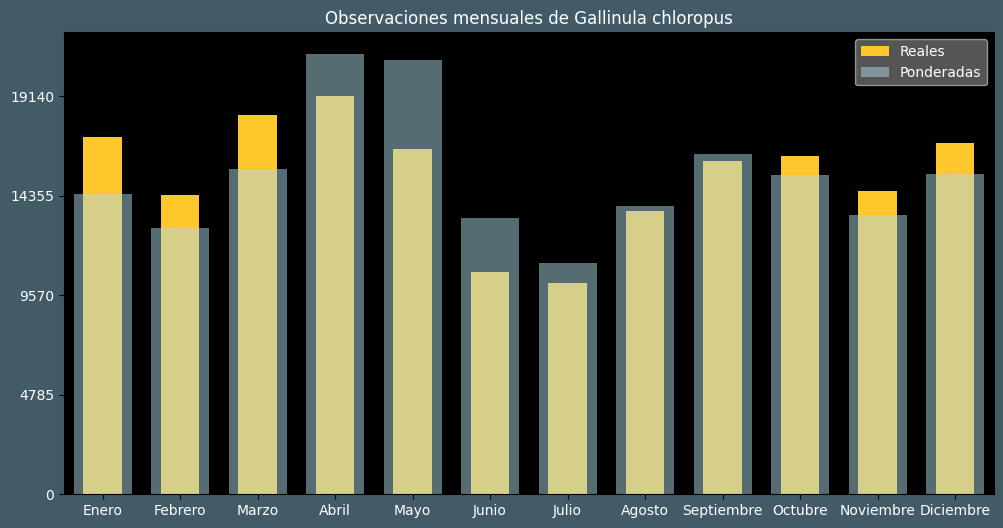 Observations by Month