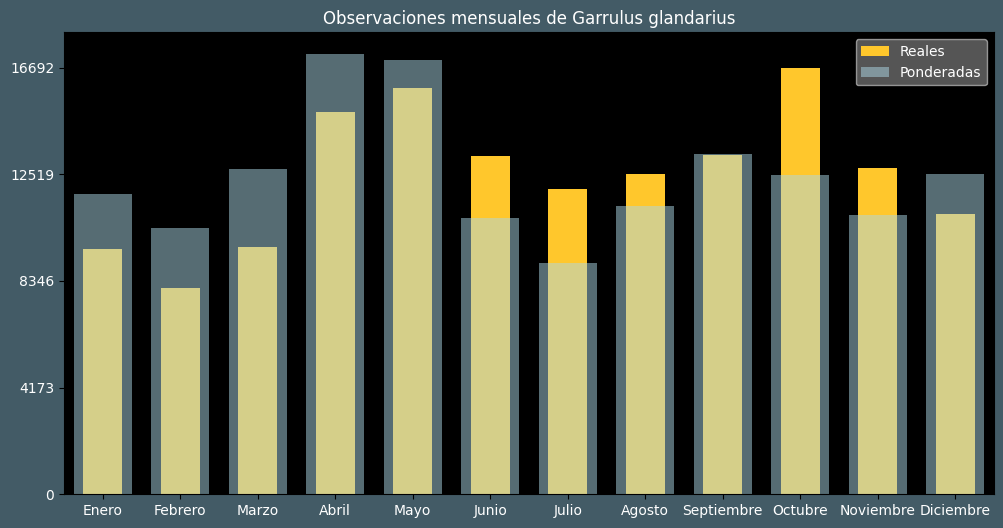 Observations by Month