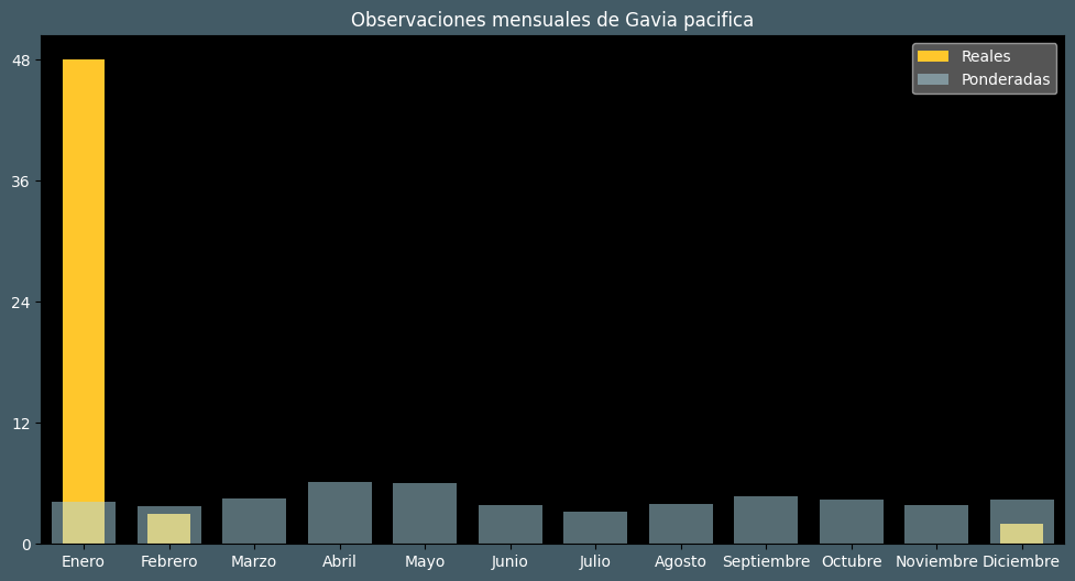 Observations by Month