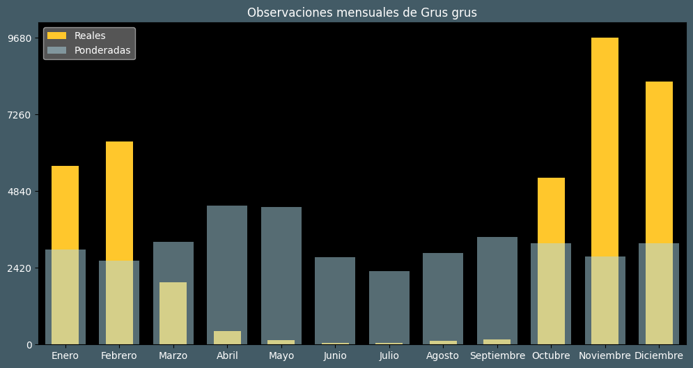 Observations by Month