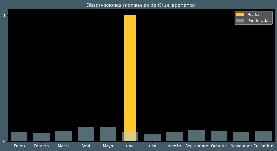 Observations by Month