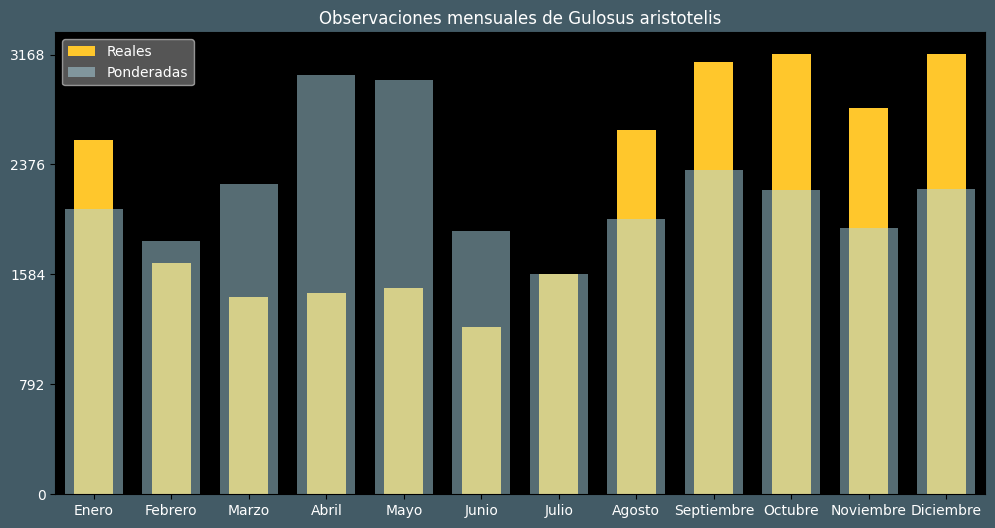 Observations by Month