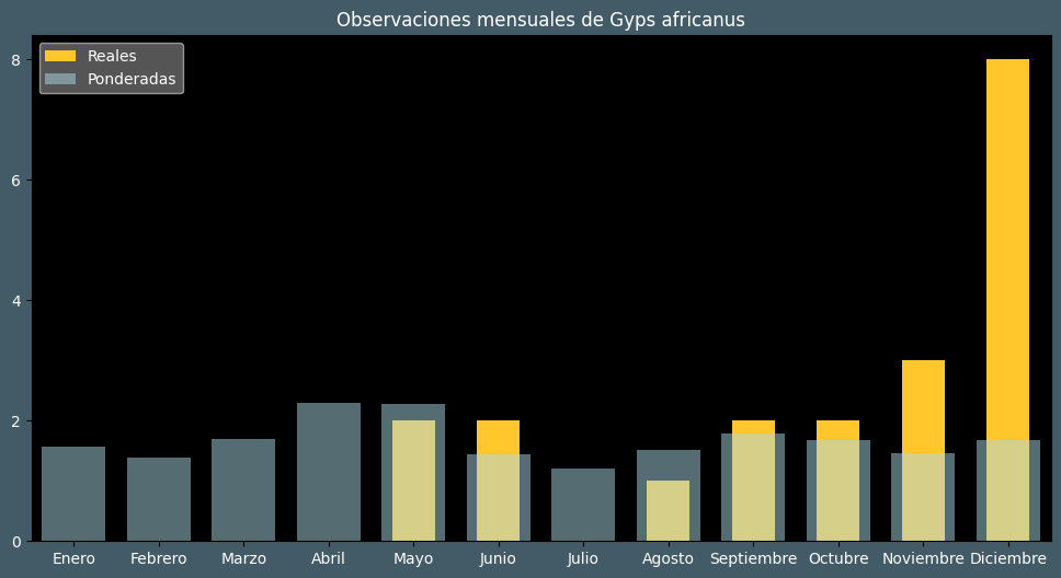 Observations by Month