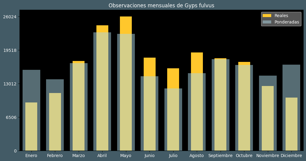 Observations by Month