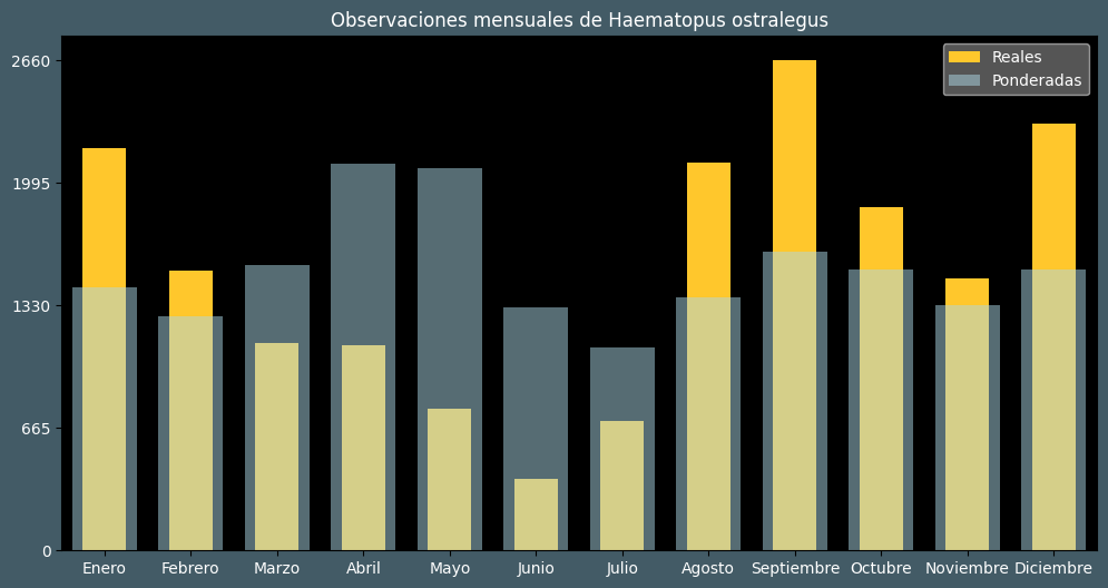 Observations by Month