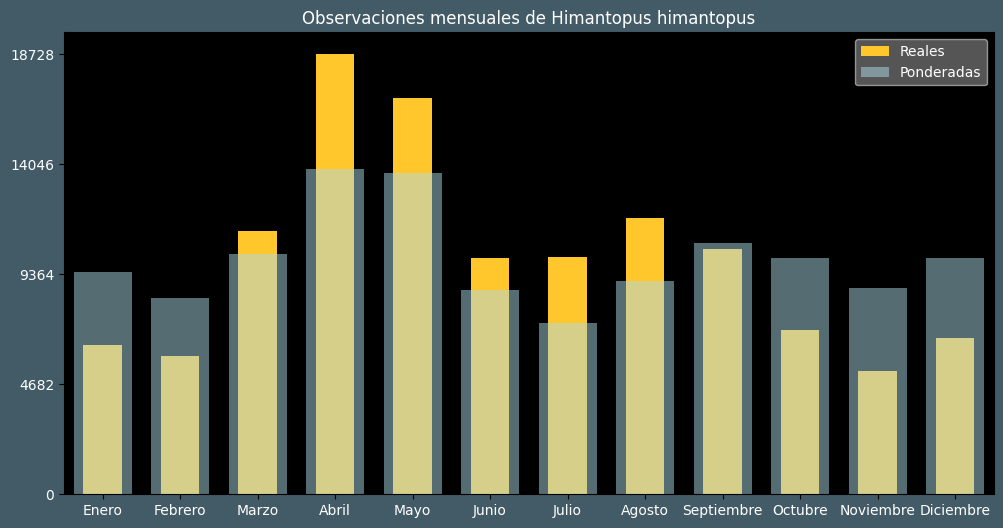 Observations by Month