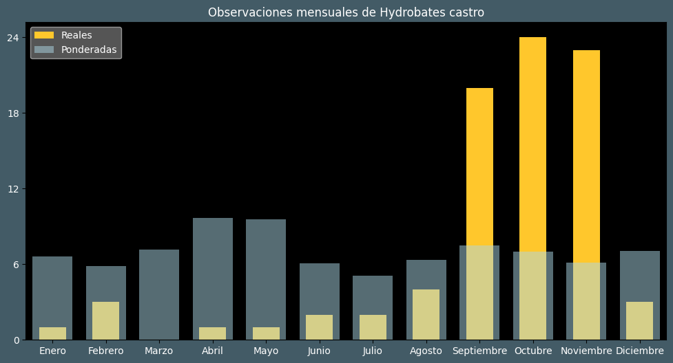 Observations by Month