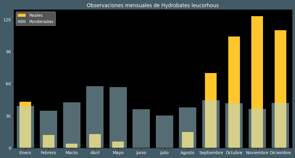 Observations by Month