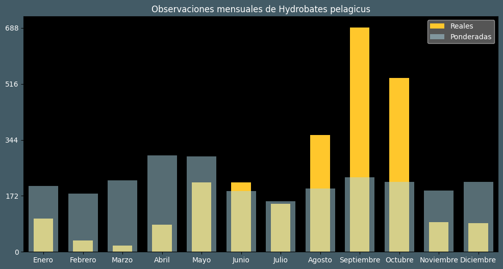 Observations by Month