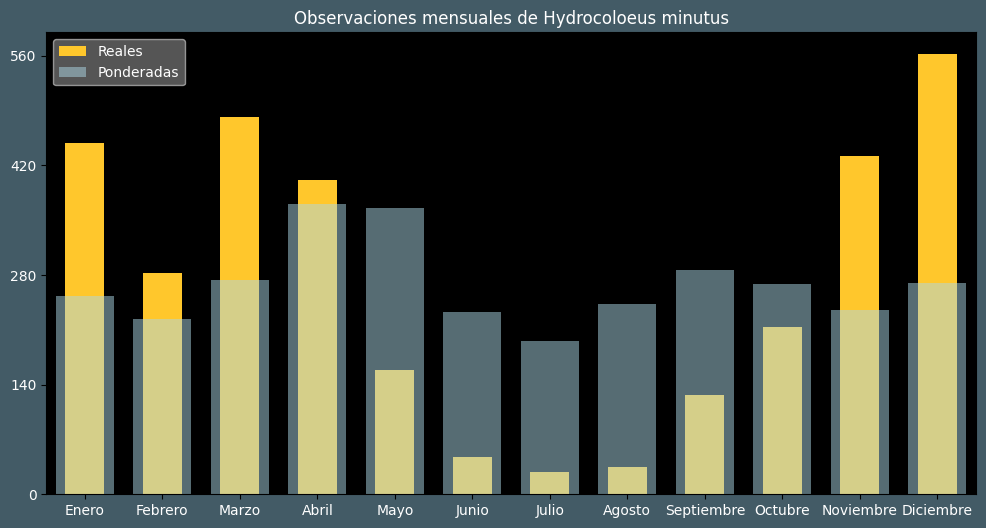 Observations by Month