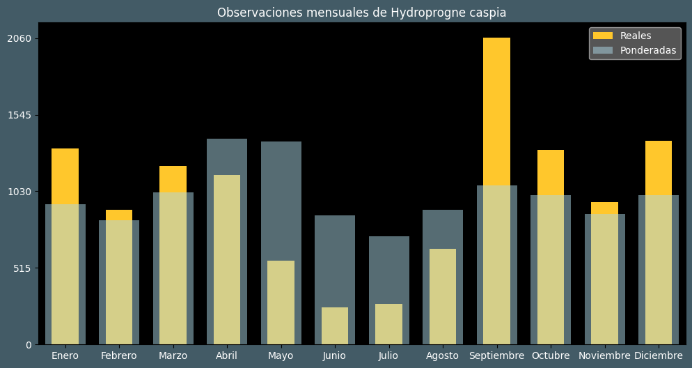 Observations by Month