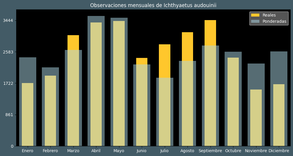 Observations by Month