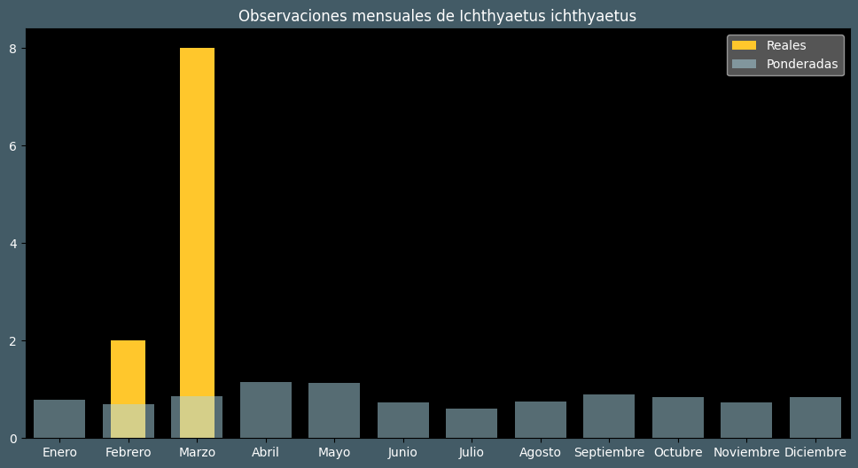 Observations by Month