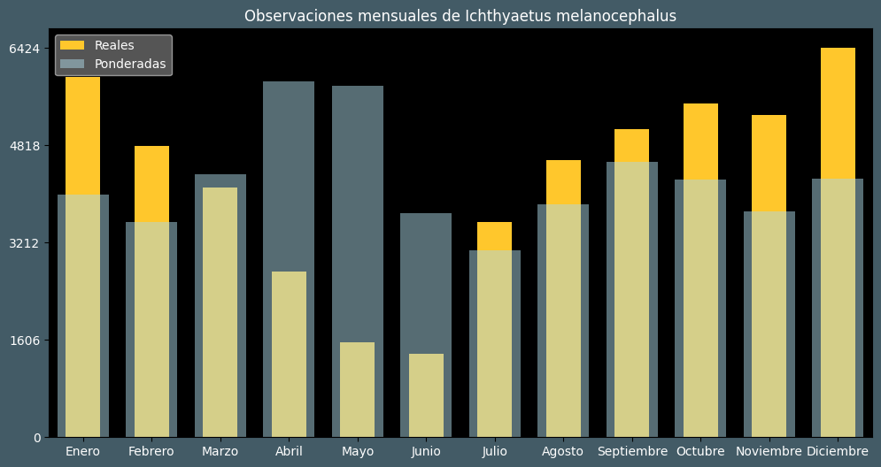 Observations by Month