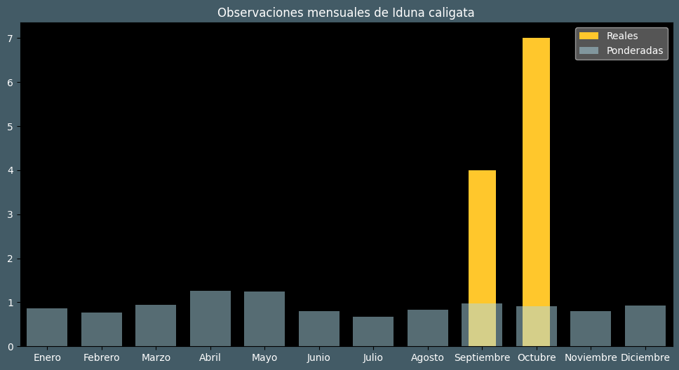 Observations by Month