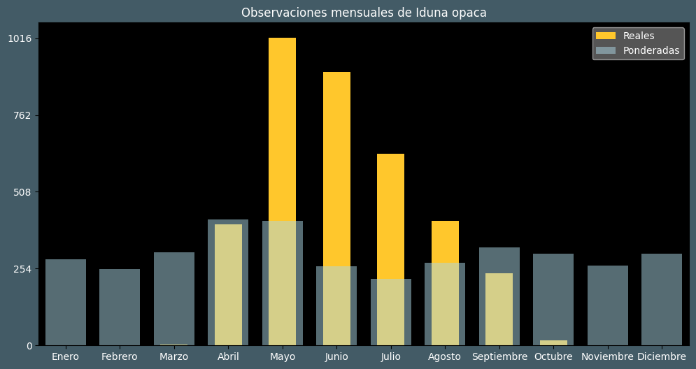 Observations by Month