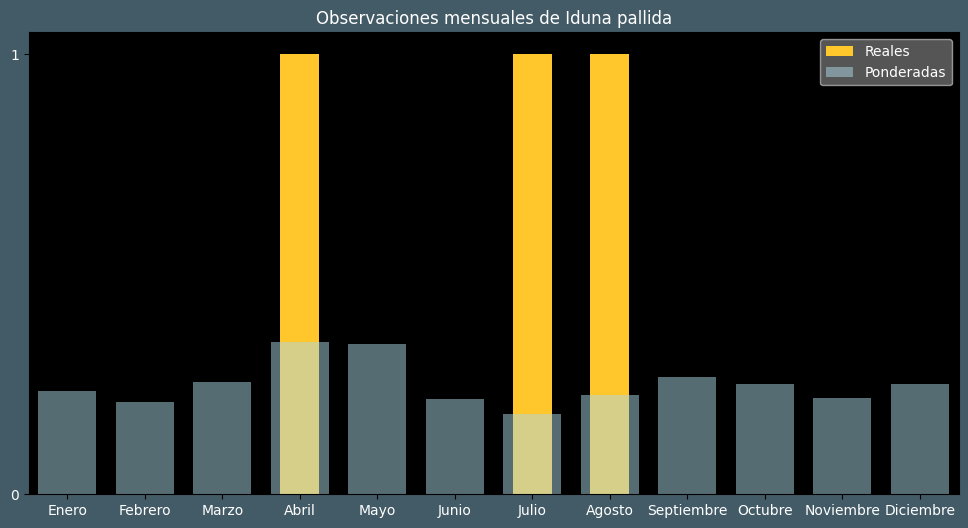 Observations by Month