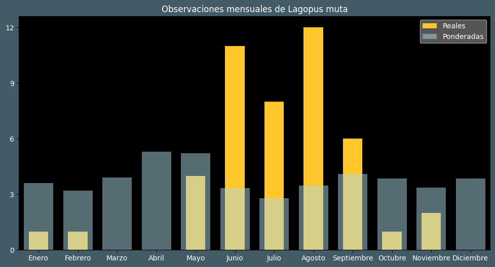 Observations by Month