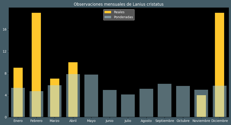 Observations by Month