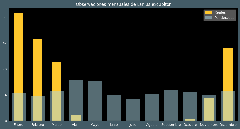 Observations by Month