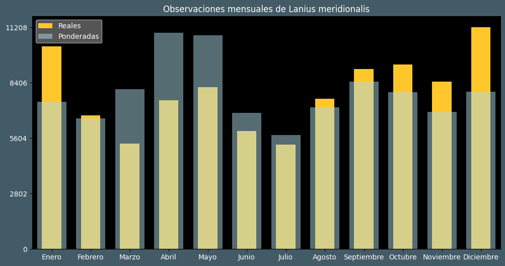 Observations by Month