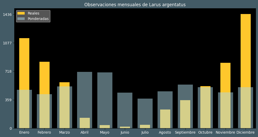 Observations by Month