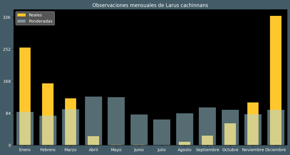 Observations by Month