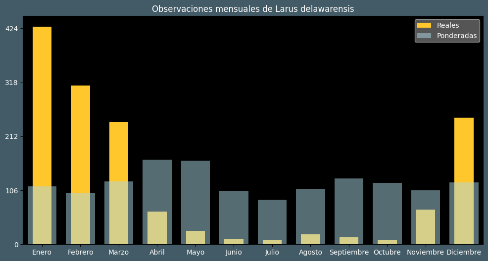 Observations by Month