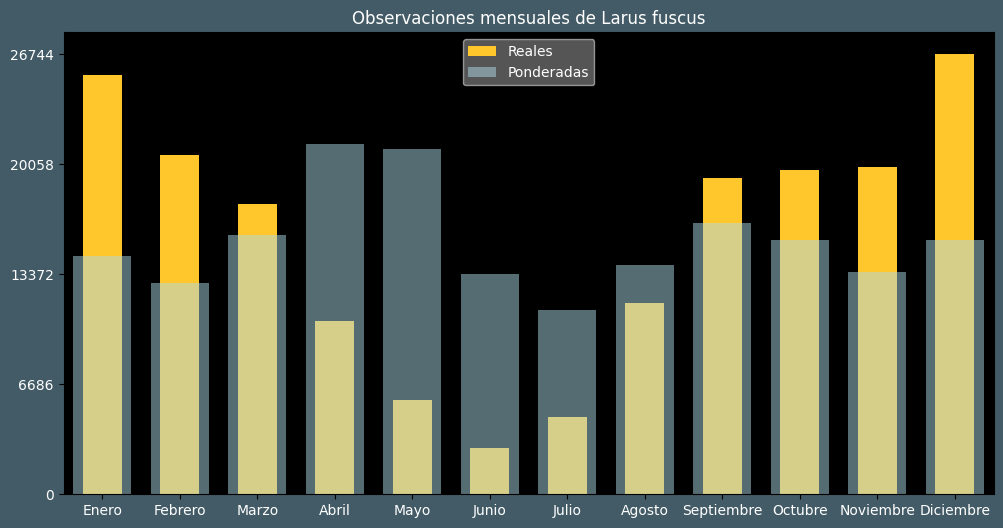 Observations by Month