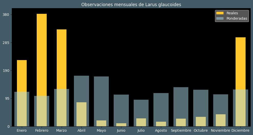 Observations by Month