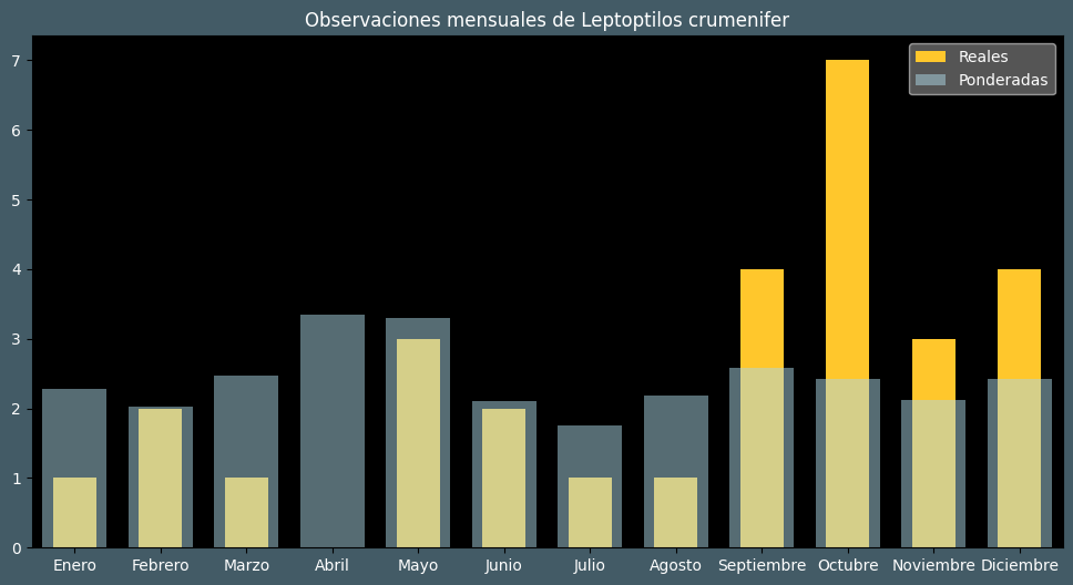 Observations by Month