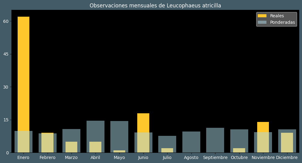 Observations by Month