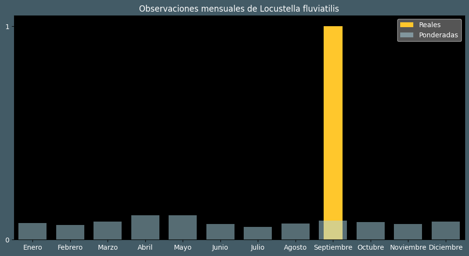 Observations by Month