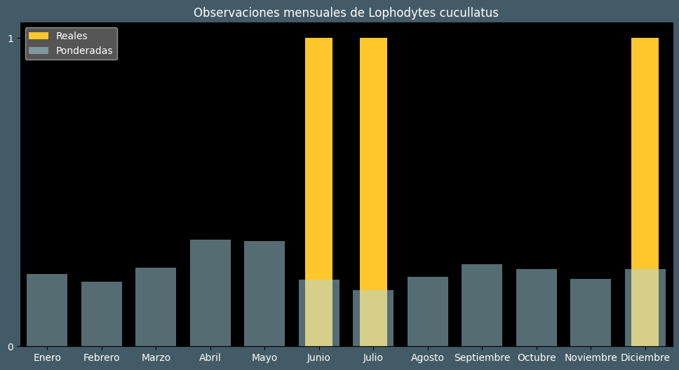 Observations by Month