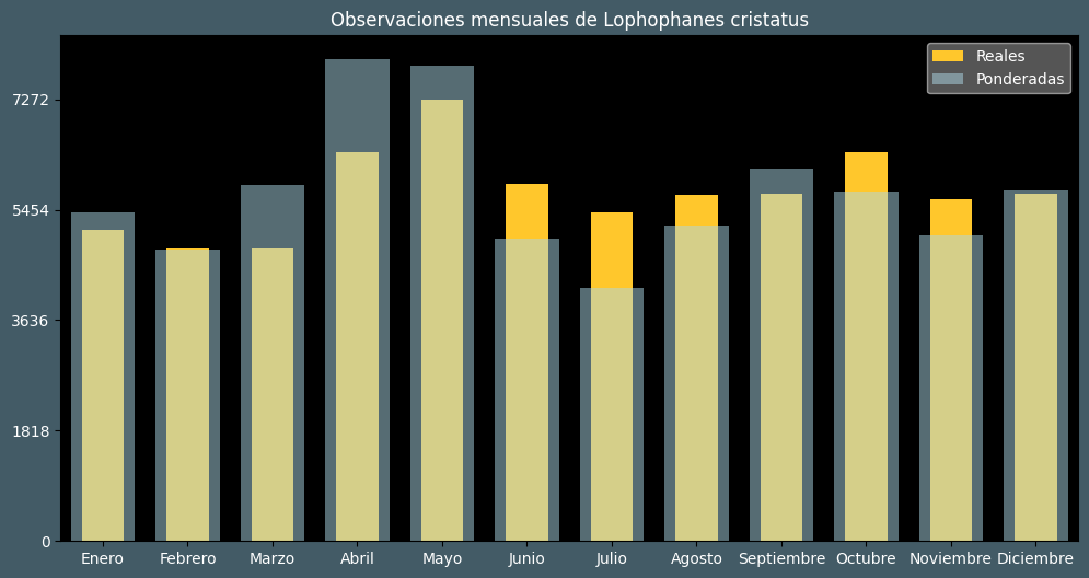 Observations by Month