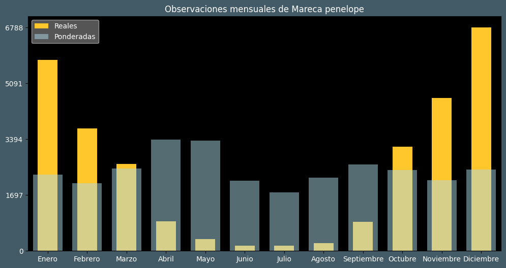 Observations by Month