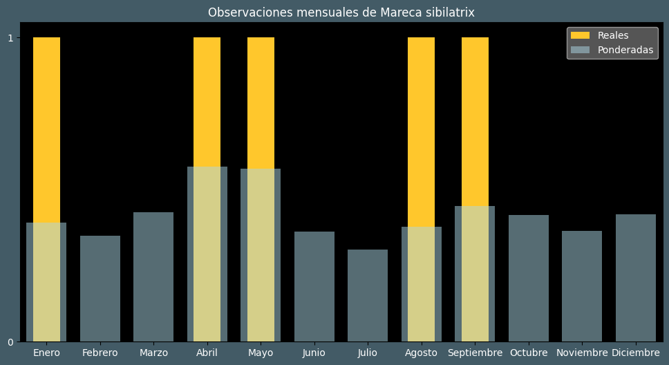 Observations by Month