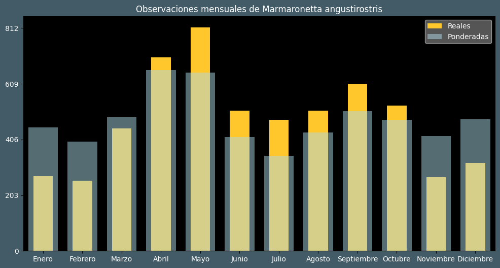 Observations by Month