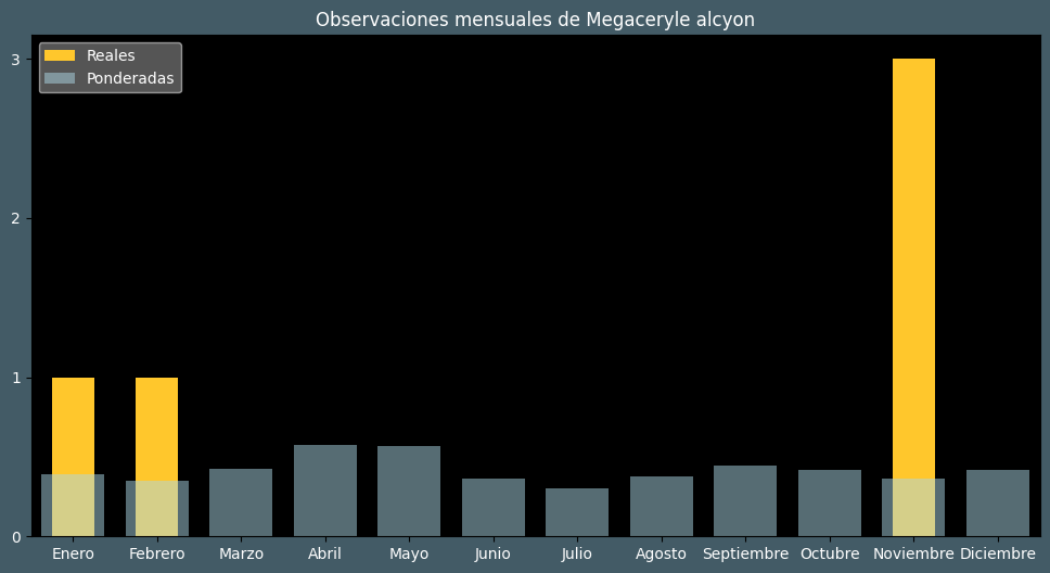 Observations by Month