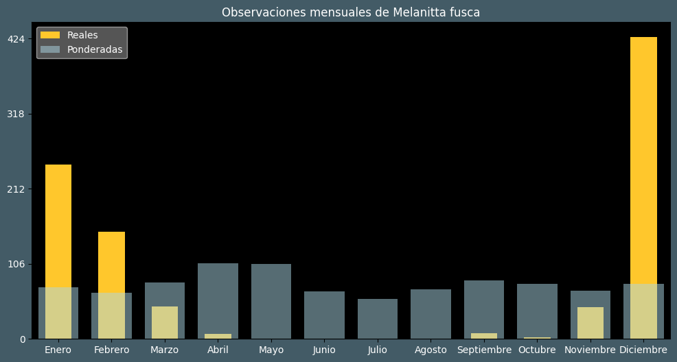 Observations by Month