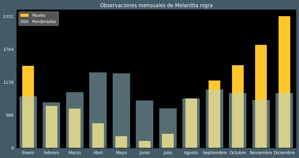 Observations by Month