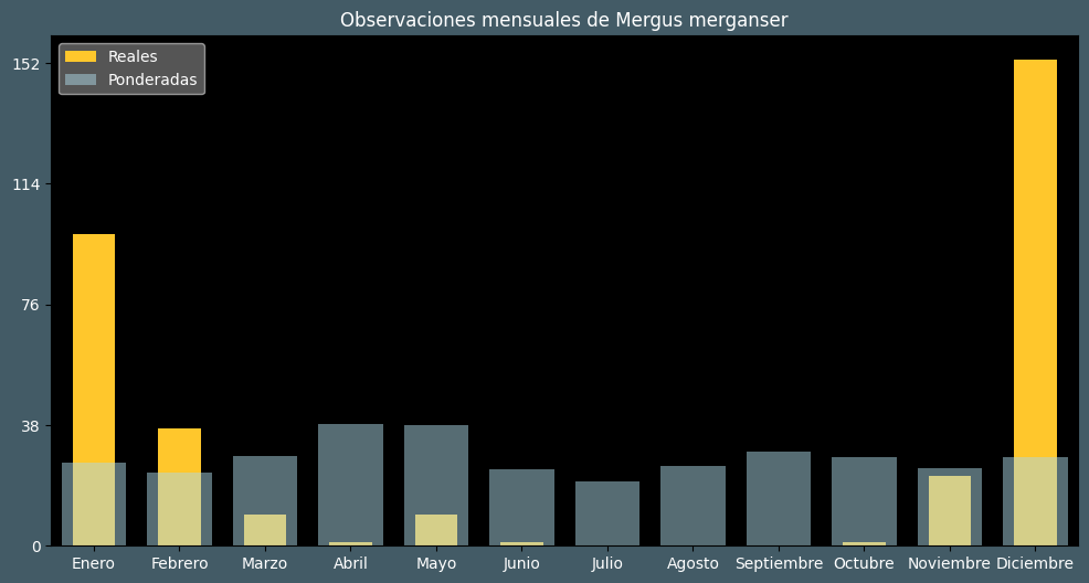 Observations by Month